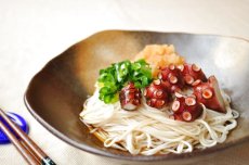 調理例：おろしそうめん